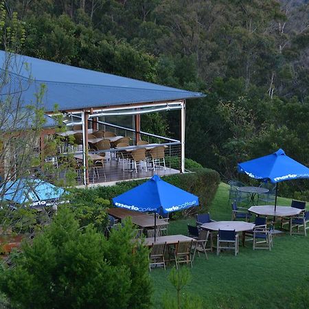 Spring Creek Mountain Cafe & Cottages Killarney Eksteriør bilde