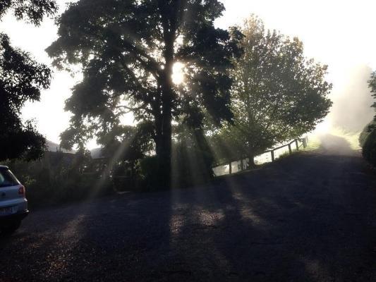 Spring Creek Mountain Cafe & Cottages Killarney Rom bilde